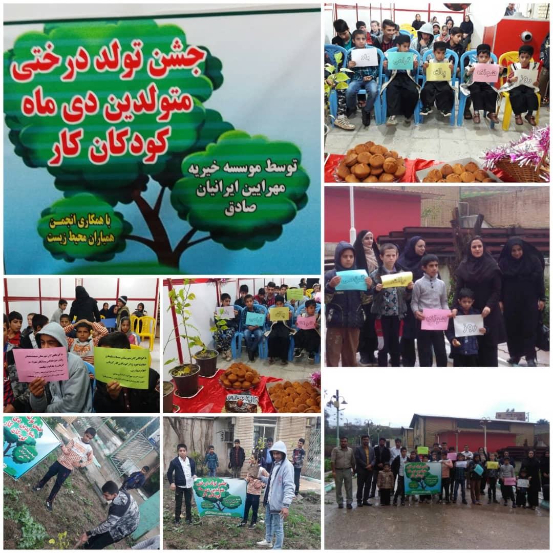 جشن تولد درختی کودکان کار برگزار گردید.