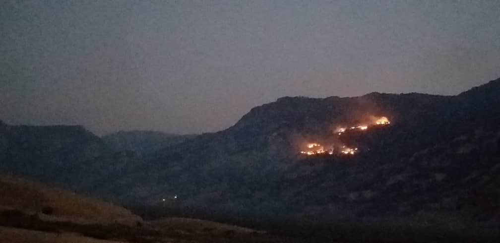 رییس اداره منابع طبیعی شهرستان مسجدسلیمان خبر داد:آتش سوزی پارک جنگلی چال استران دوراهی لالی مهار شد