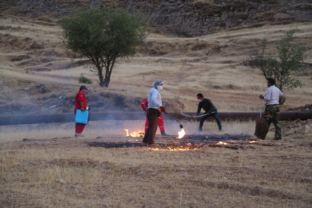 کارگاه آموزشی اطفای آتش سوزی مراتع در مسجدسلیمان برگزار شد