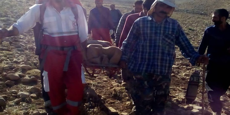 حمله خرس به جوان اندیکایی