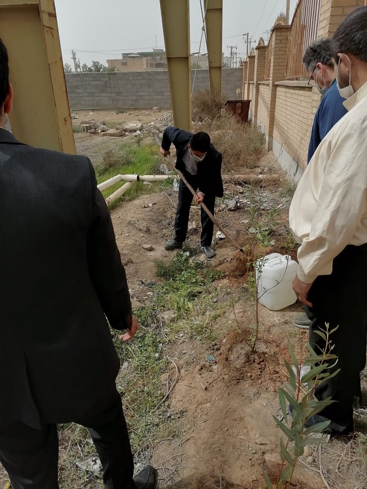 آئین کاشت نهال به مناسبت هفته نهال کاری حفظ درخت. تداوم حیات