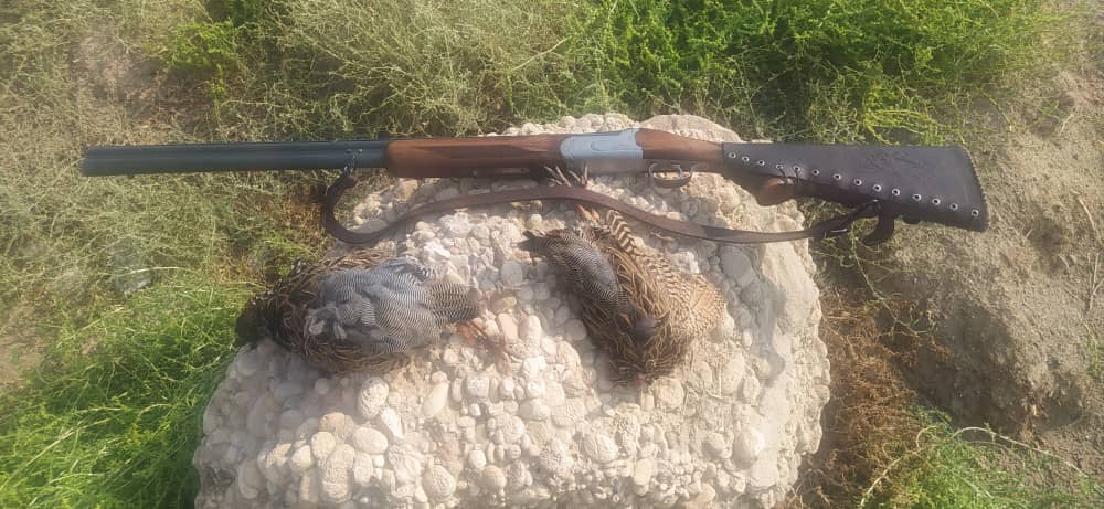 دستگیری شکارچی پرنده دراج در گتوند