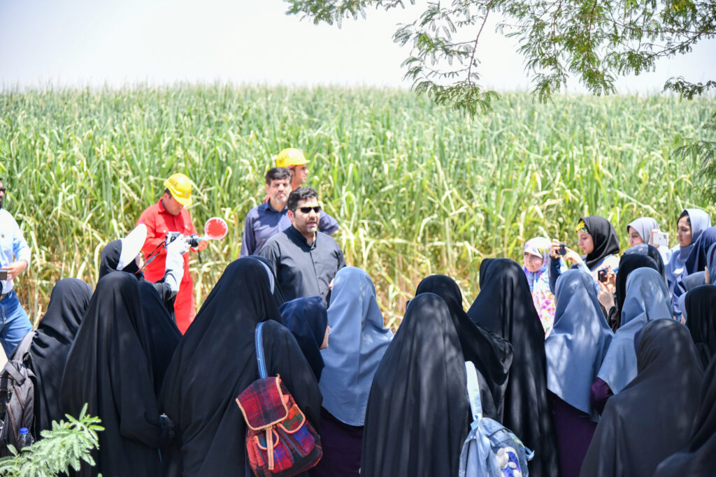 نیشکر روی موج امید آفرینی