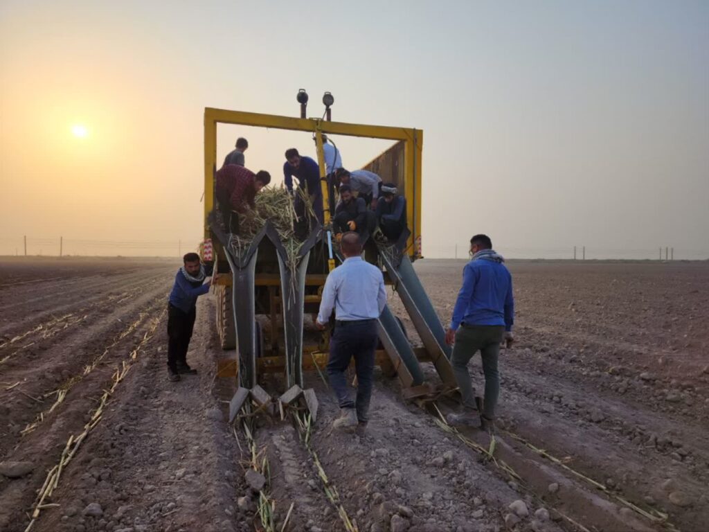 نیشکر امیرکبیر به جمع سازندگان «کارنده نیشکر» پیوست