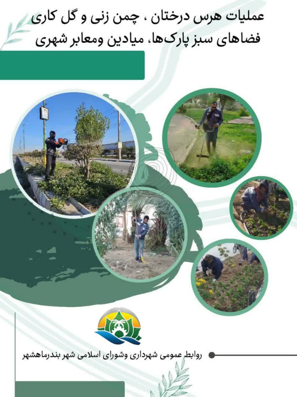 عملیات هرس درختان ،چمن زنی و گل کاری فضاهای سبز پارکها ،میادین و معابر شهری آنجا شد