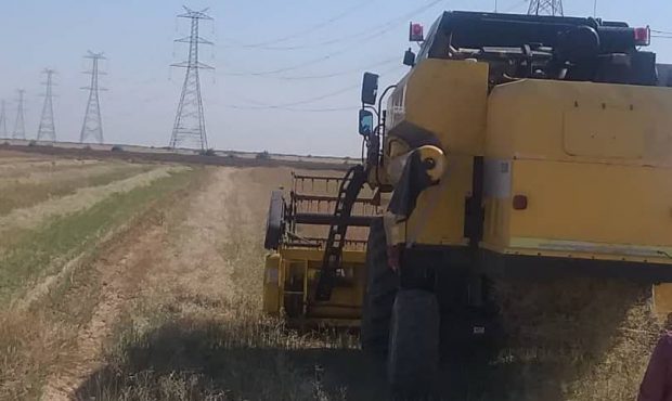 آغاز برداشت محصولات زراعی پاییزه در شهرستان کارون