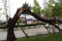 تندبادهای شدید بی سابقه همراه با گردوخاک و باد و باران در استان خوزستان و در شهرستان های مسجدسلیمان ،اندیکا و لالی