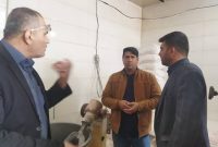 گشت مشترک، نظارت و بازرسی بر عملکرد نانوایان توسط دستگاه های نظارتی