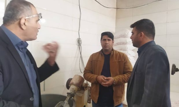 گشت مشترک، نظارت و بازرسی بر عملکرد نانوایان توسط دستگاه های نظارتی