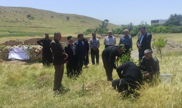 برگزاری دوره آموزشی اصول کاشت نهال در اندیکا