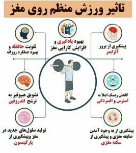 تاثیر منظم ورزش روی مغز و عملکرد آن