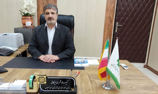 پیام تبریک رییس اداره امور مالیاتی شهرستان مسجدسلیمان به مناسبت هفته دولت و روز کارمند