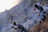 مهار آتش سوزی کوه دلا پس از سه روز