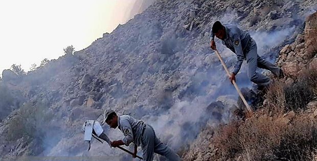 مهار آتش سوزی کوه دلا پس از سه روز