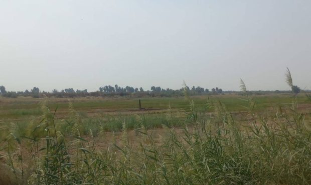رفع تصرف ۱۶ هکتار از اراضی ملی و منابع طبیعی در اهواز